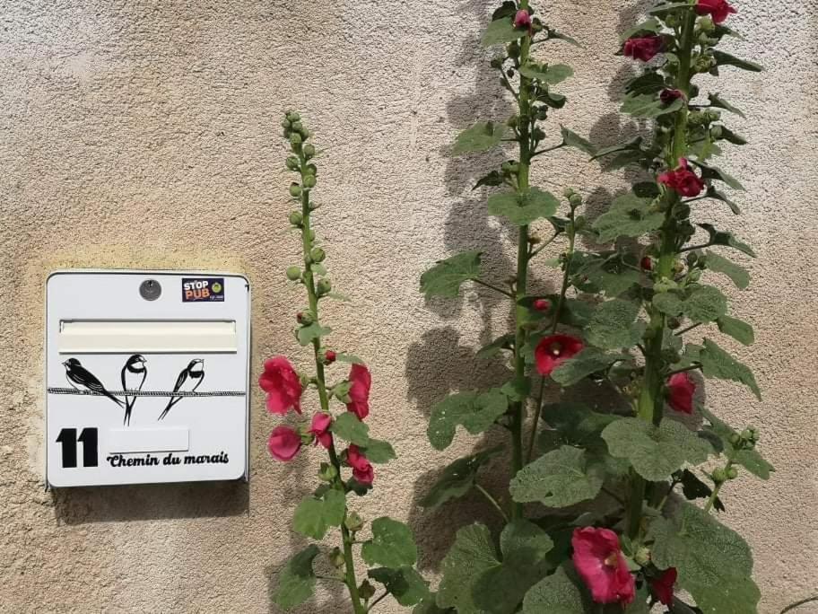 La Teranga Proche La Rochelle Lägenhet Nuaille-d'Aunis Exteriör bild